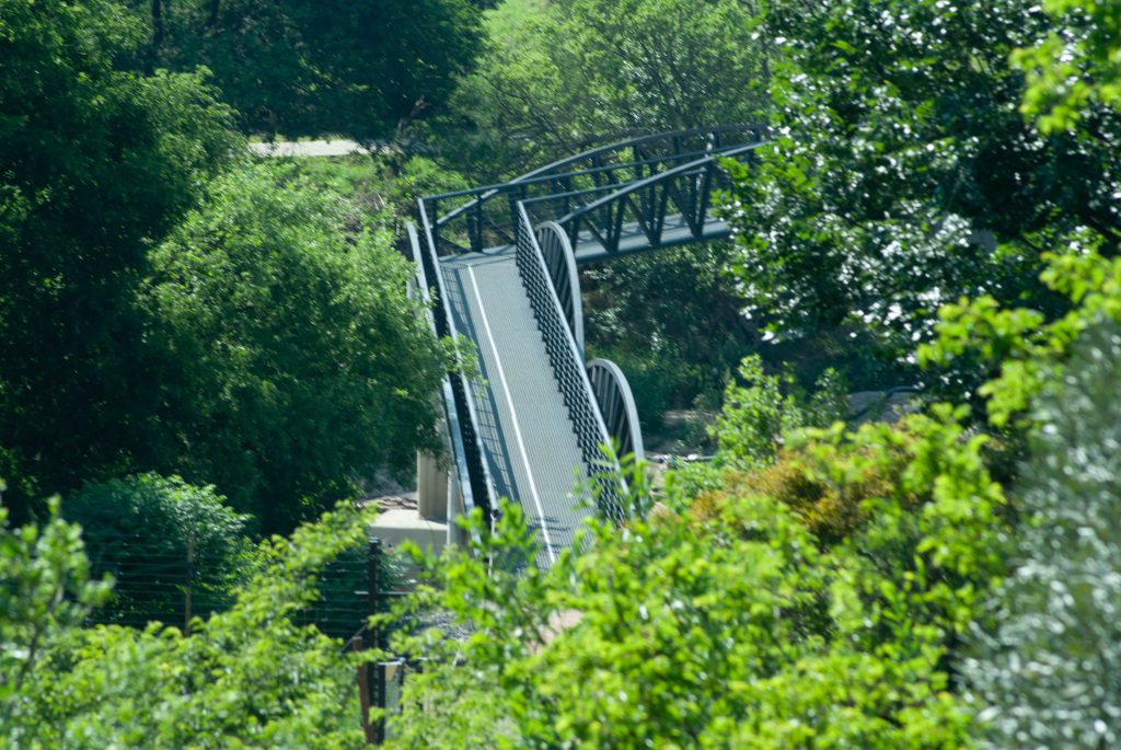 a view of our pedestrian bridge over the jukskei river